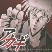 闘牌伝説アカギ 〜闇に舞い降りた天才〜　全２６話