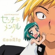 美鳥の日々　全１３話